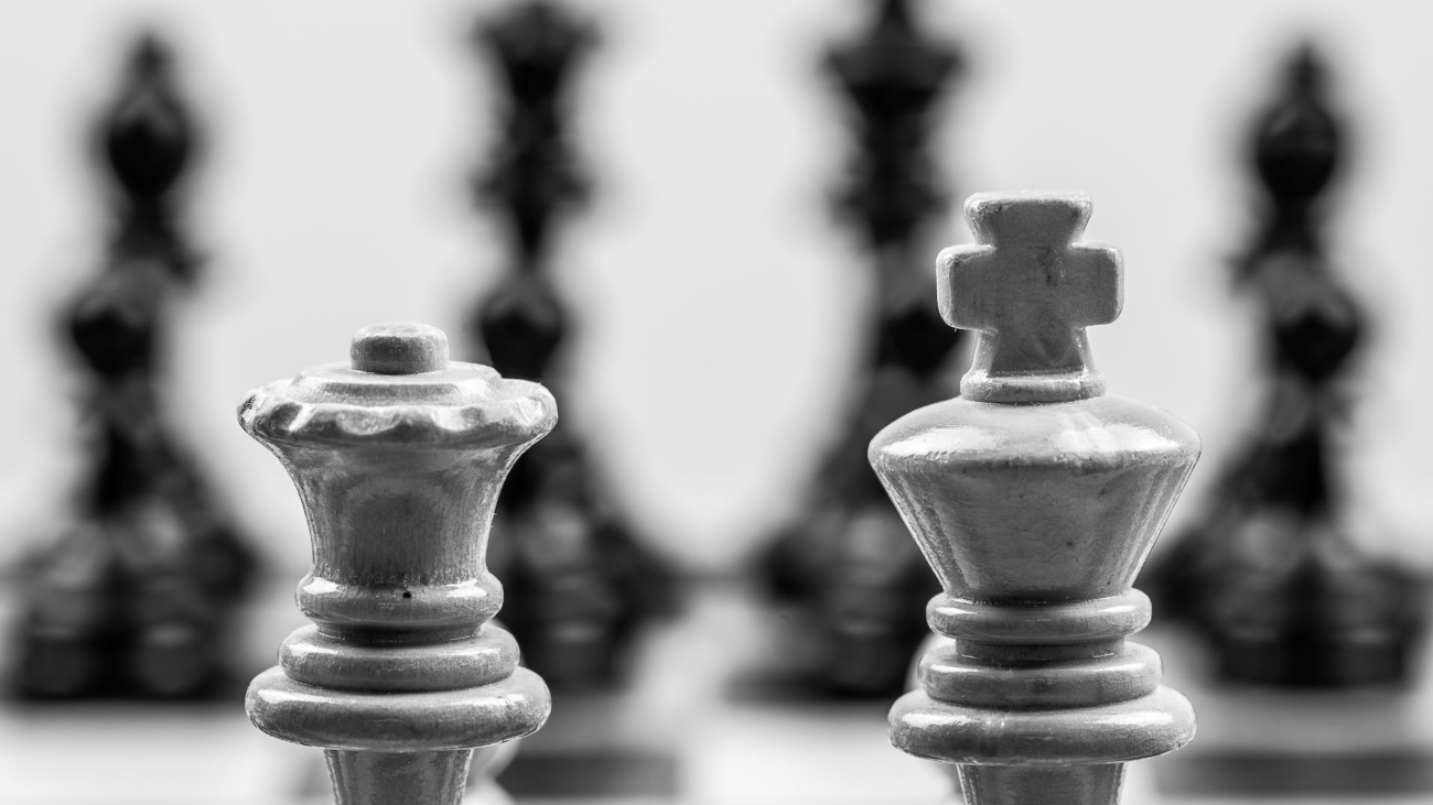 pexels-mike-van-schoonderwalt-5502523