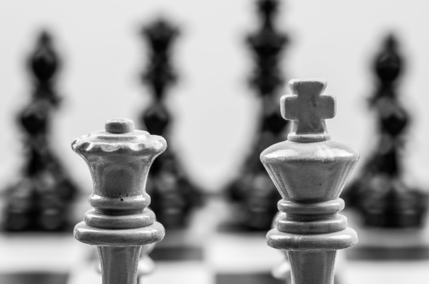 pexels-mike-van-schoonderwalt-5502523