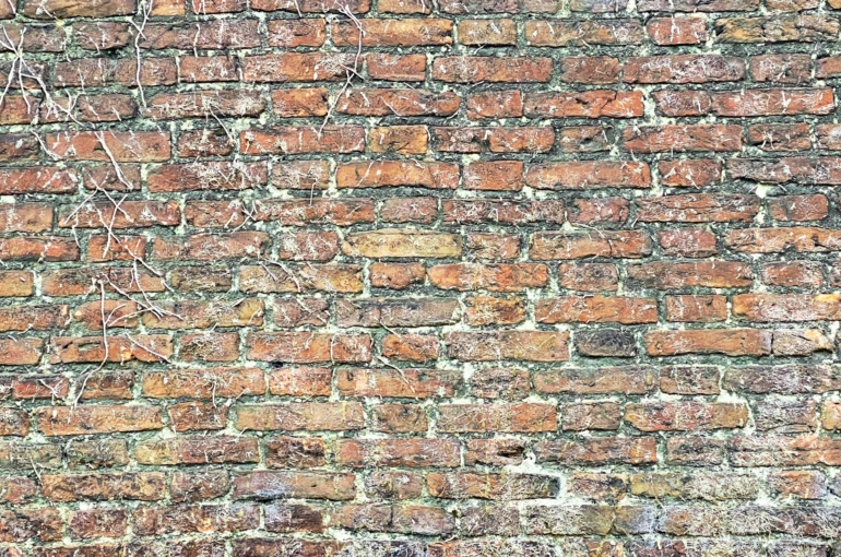 bekky-bekks-jAV3bxYVB6w-unsplash
