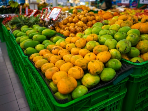 fikri-rasyid-1k7nR_uWezs-unsplash