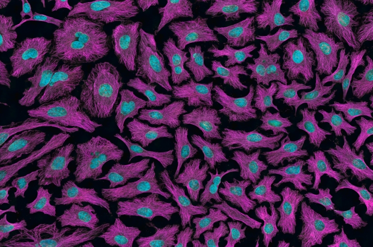 national-cancer-institute-c-wqrSCjVf4-unsplash
