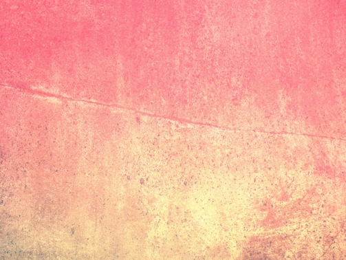 daniela-paola-alchapar-y-6U9KyfMBY-unsplash