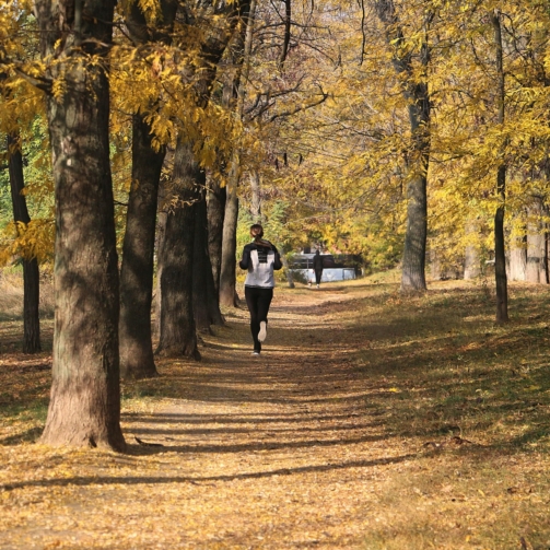 ekaterina-novitskaya-09DQcPuQqNc-unsplash