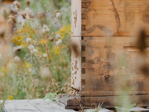 sarah-janes-tjiP6f7QiOs-unsplash