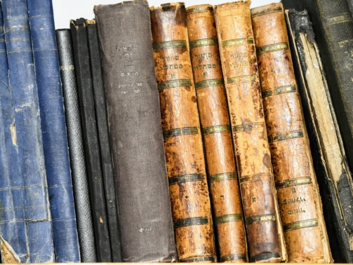 shraga-kopstein-BJlqwHQSguw-unsplash