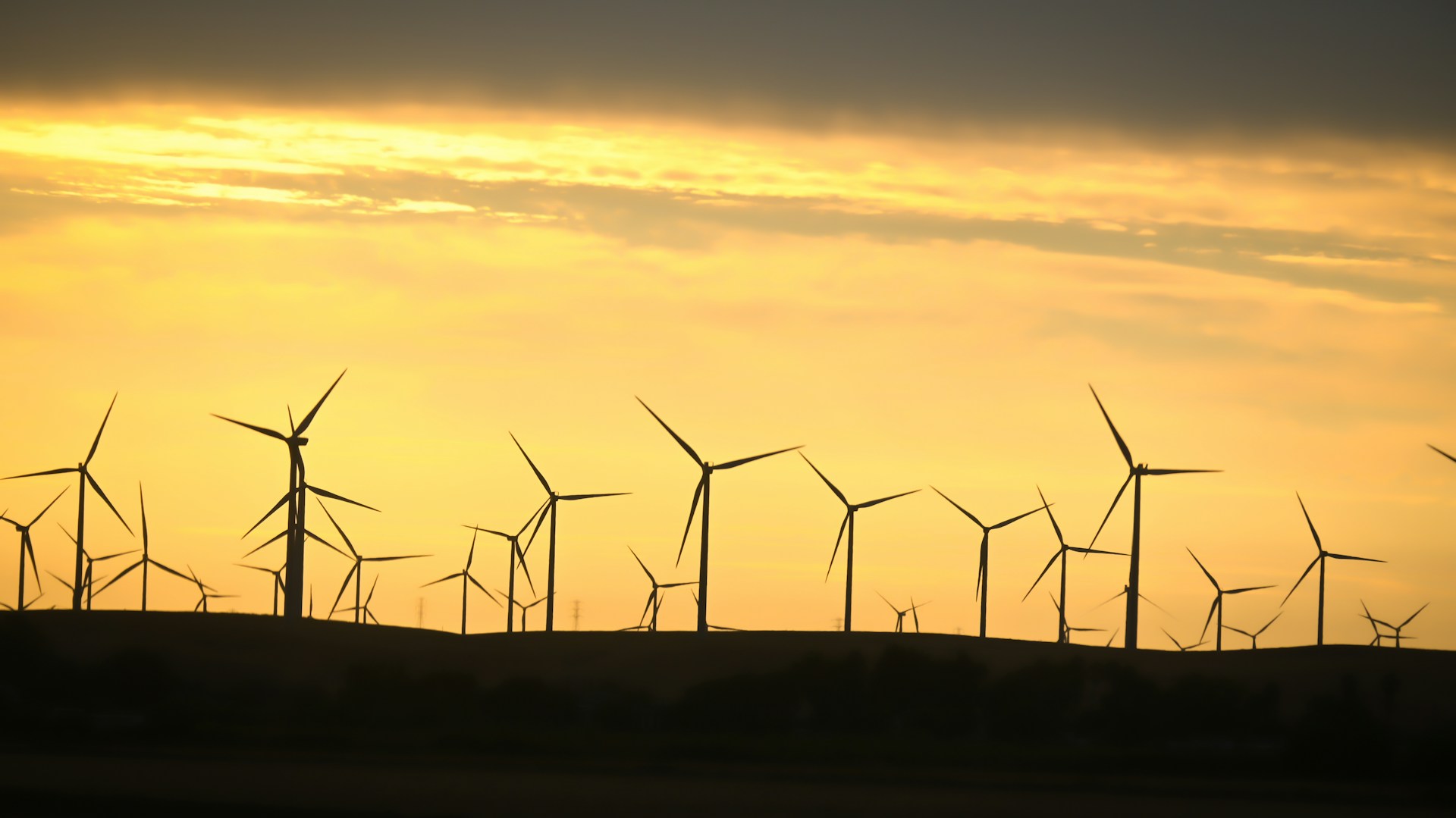 aishwarya-mv-VxVthkL_Cy0-unsplash