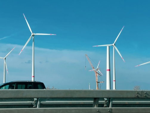 bernd-dittrich--yvq-6ZYqBI-unsplash