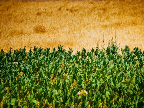 rashid-khreiss-5hcqdWFKVGY-unsplash
