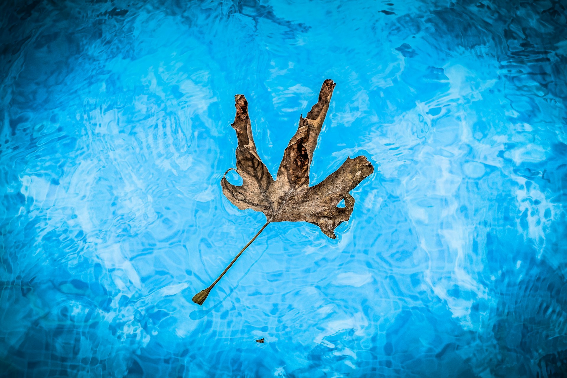 rashid-khreiss-ebN-zY6YwJM-unsplash