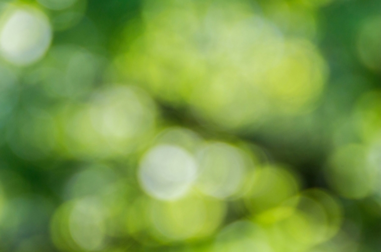 artur-luczka-loAfOVk1eNc-unsplash