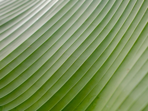 jasper-kijk-in-de-vegte-MKI9Fj52Dao-unsplash