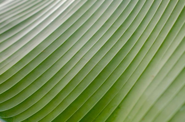 jasper-kijk-in-de-vegte-MKI9Fj52Dao-unsplash