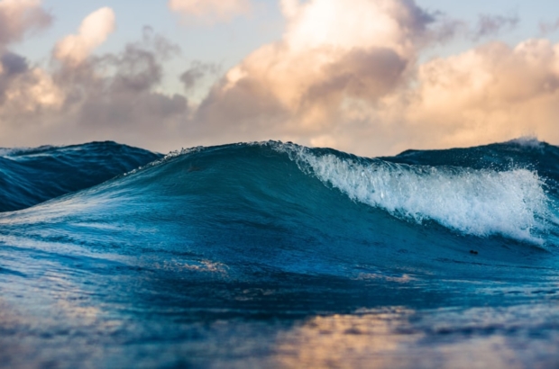 photo-1560260240-c6ef90a163a4