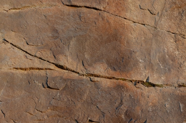 photo-1598171182250-62e92d5a3172