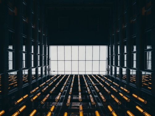 photo-1763813581185-0b74f1a27683