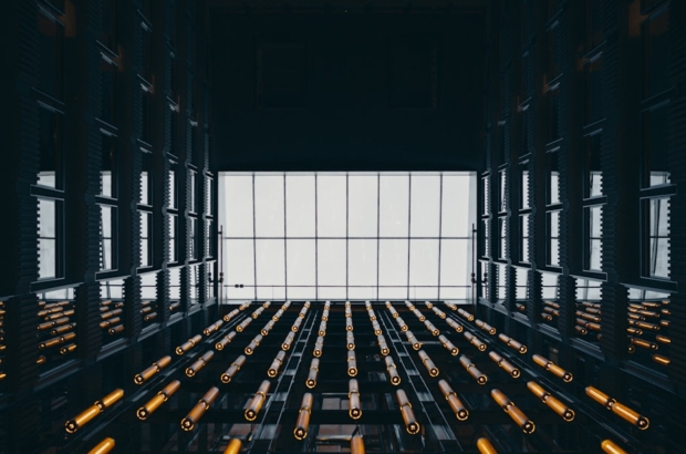 photo-1763813581185-0b74f1a27683