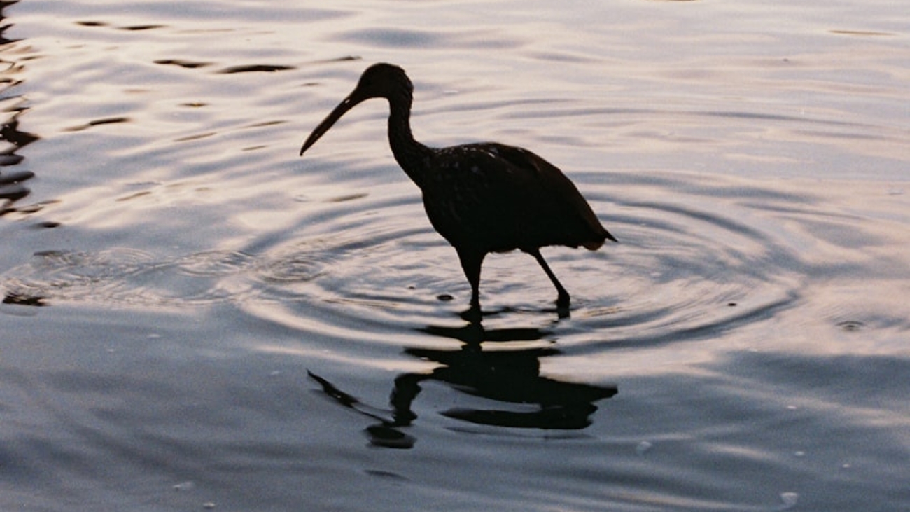 photo-1764163781708-111bbbce0988