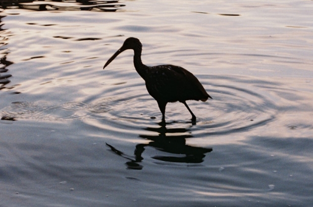 photo-1764163781708-111bbbce0988