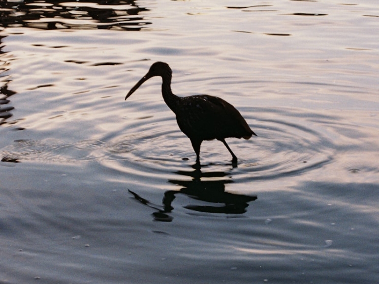 photo-1764163781708-111bbbce0988