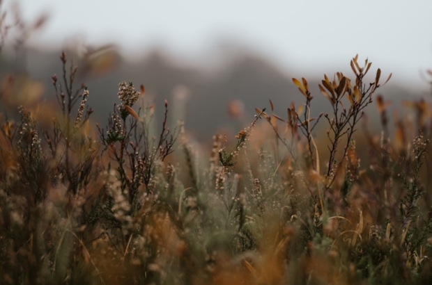 premium_photo-1669842468220-1aab378c7321