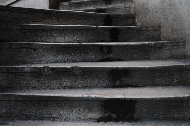 premium_photo-1672152803352-7a2f318a1813