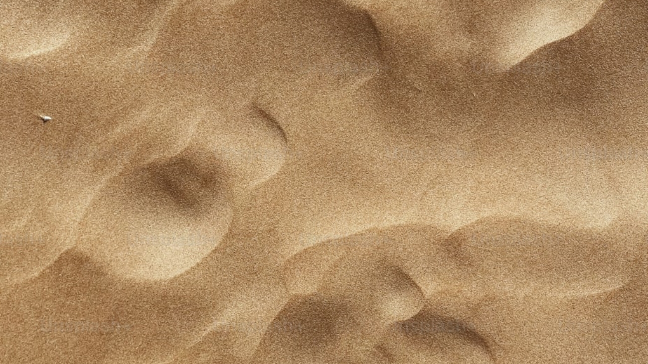 premium_photo-1680307335397-d0eba67adcdf