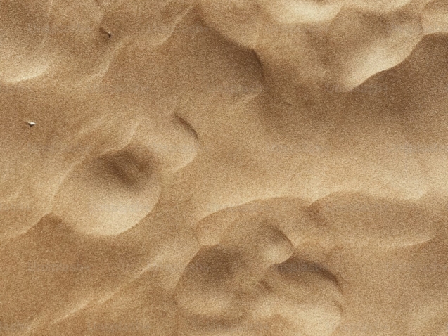 premium_photo-1680307335397-d0eba67adcdf