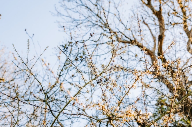 premium_photo-1743403009711-ea1801b1b658