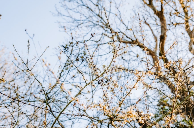 premium_photo-1743403009711-ea1801b1b658