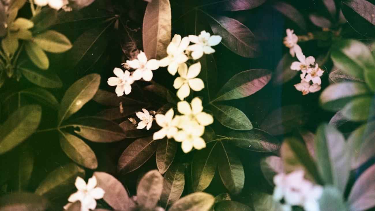 premium_photo-1761839338443-4b6f8d26fce1