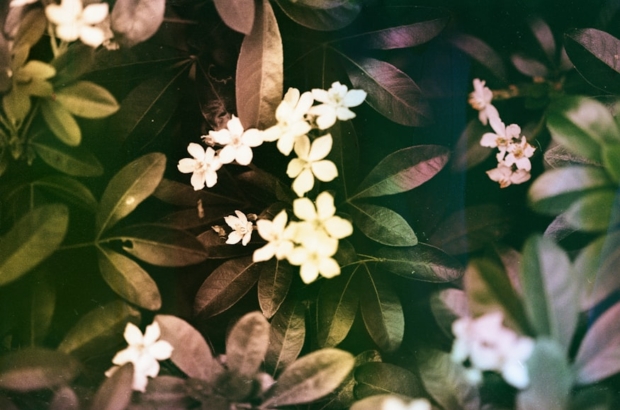 premium_photo-1761839338443-4b6f8d26fce1