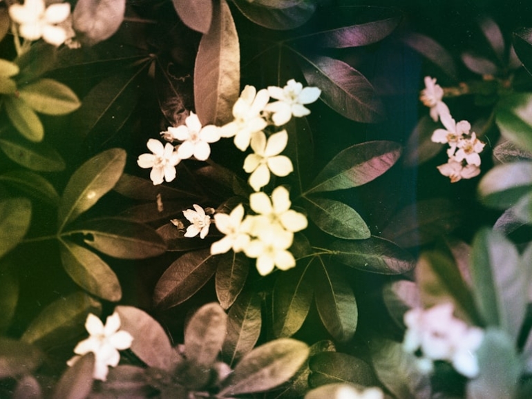 premium_photo-1761839338443-4b6f8d26fce1