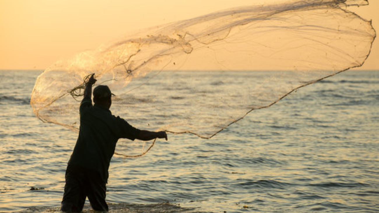 360_F_113135736_o2wxvNe7hjszmUOSODLynhFxcHmMsgXX