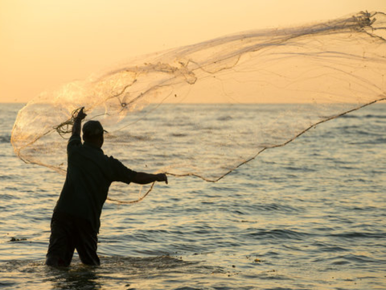 360_F_113135736_o2wxvNe7hjszmUOSODLynhFxcHmMsgXX