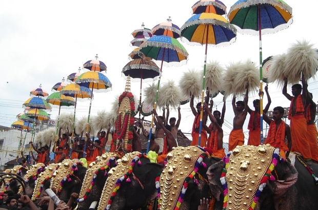 960px-ThrissurPooram-Kuda