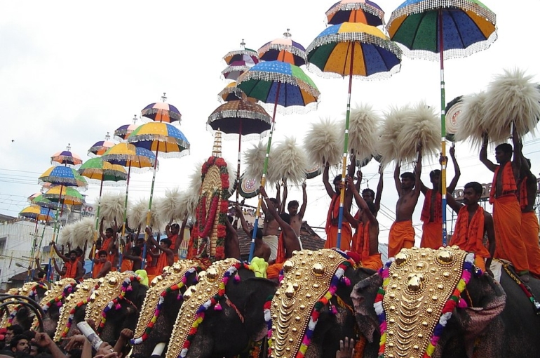 960px-ThrissurPooram-Kuda