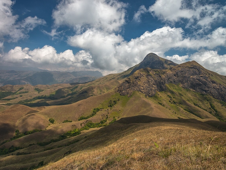 AnaimudiPeak_DSC_4834