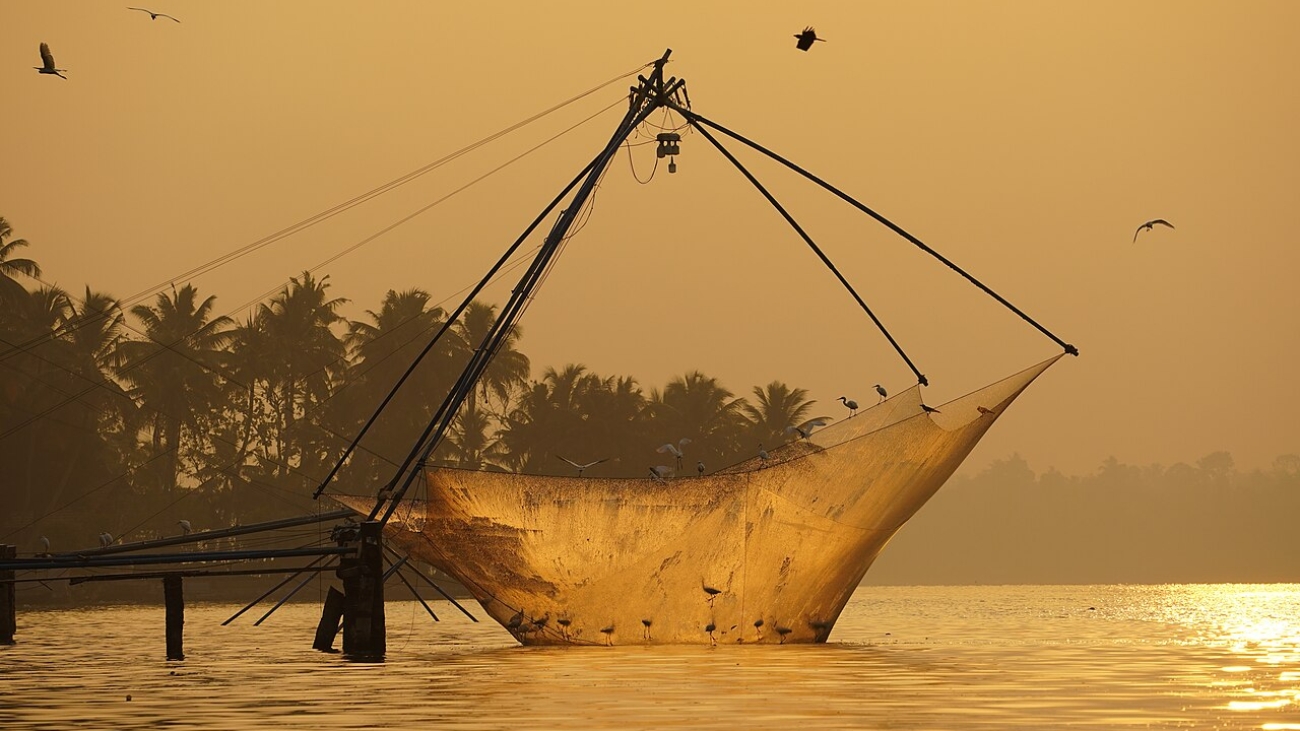 Chinese fishing net being raised at sunrise.  Ashtamudi Lake, Kollam, Kerala, India