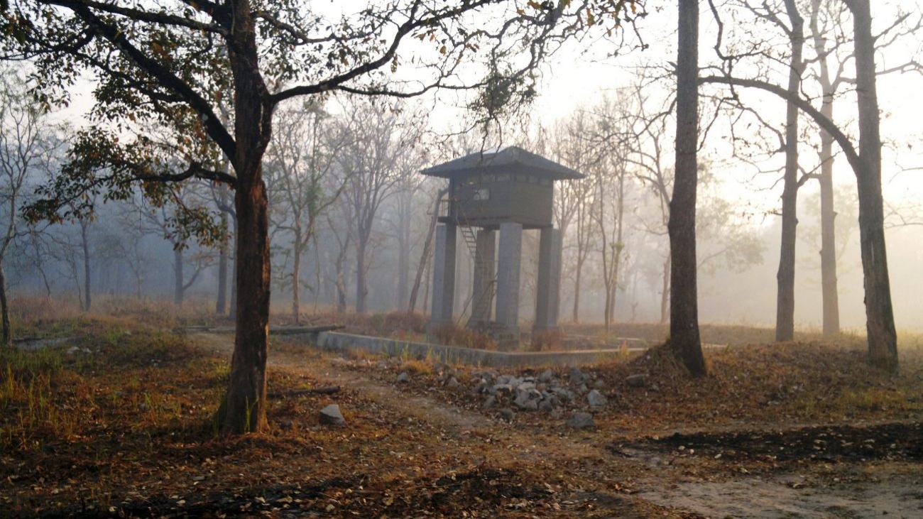 Misty_Wayanad_Wildlife_Sanctuary,_Muthanga_Range_-_panoramio_(3)