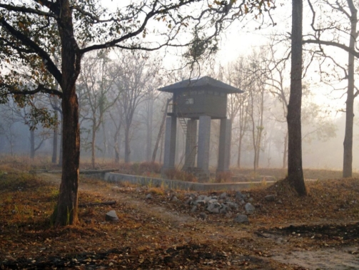 Misty_Wayanad_Wildlife_Sanctuary,_Muthanga_Range_-_panoramio_(3)
