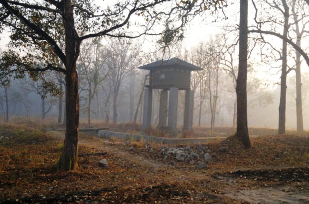 Misty_Wayanad_Wildlife_Sanctuary,_Muthanga_Range_-_panoramio_(3)