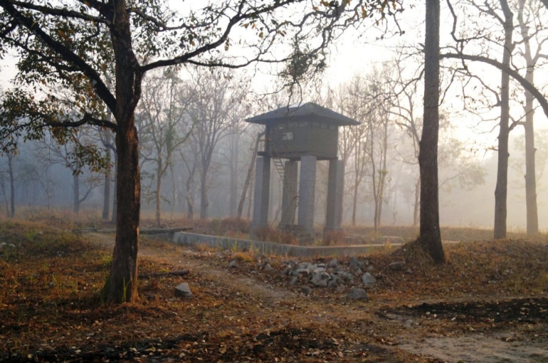 Misty_Wayanad_Wildlife_Sanctuary,_Muthanga_Range_-_panoramio_(3)