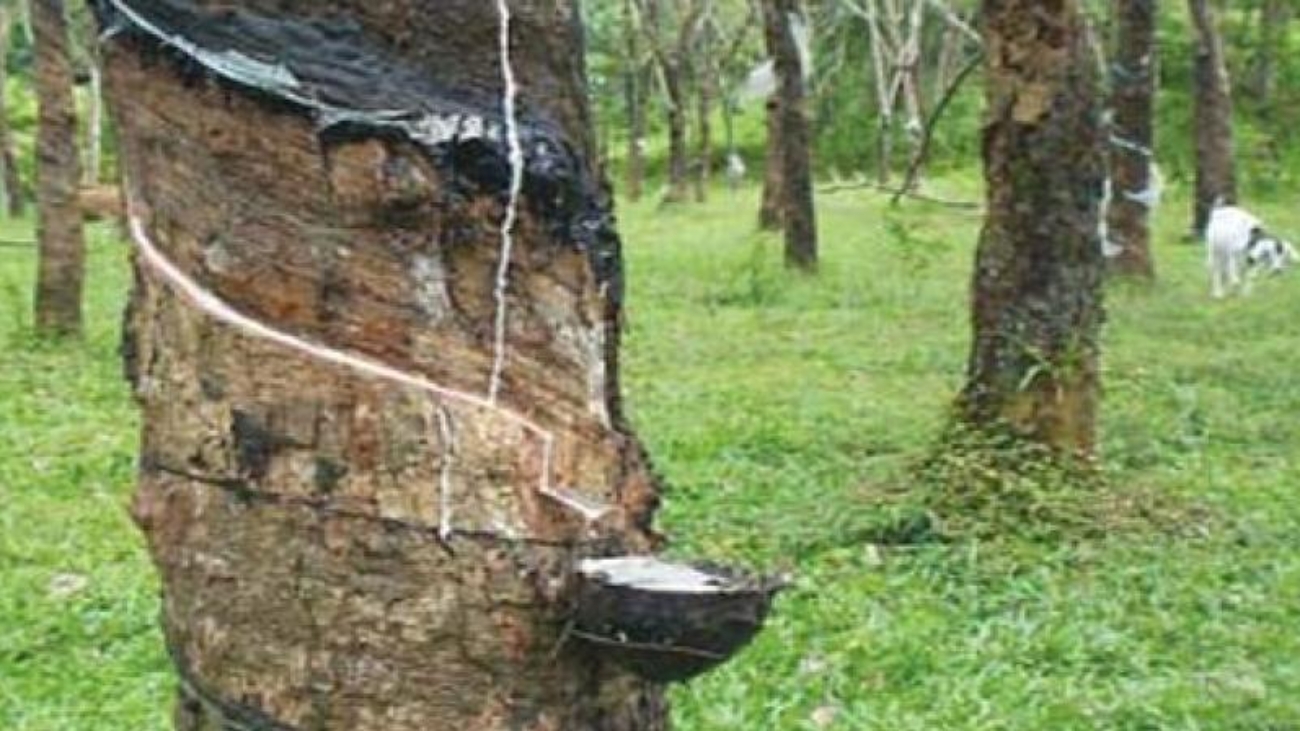 dc-Cover-u73bmcddknagthue17kukfo0v0-20160317071221.Medi