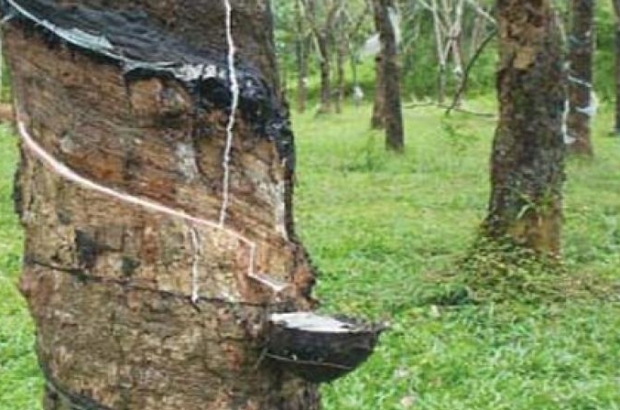 dc-Cover-u73bmcddknagthue17kukfo0v0-20160317071221.Medi