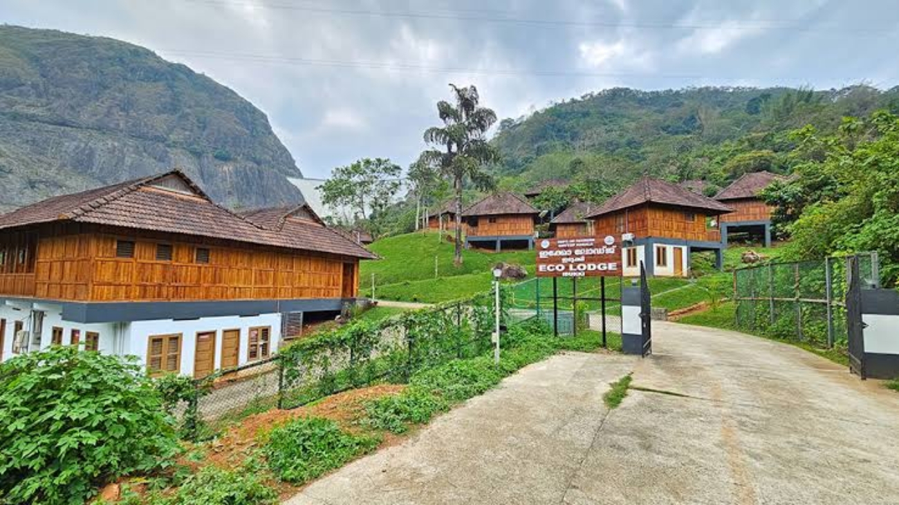 images - 2025-12-31T071735.461