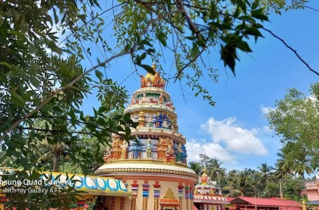 images - 2025-12-31T072820.212