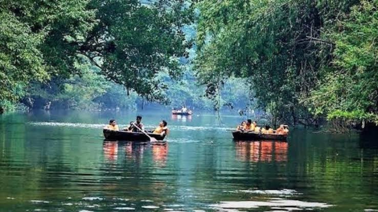 images - 2025-12-31T121038.432