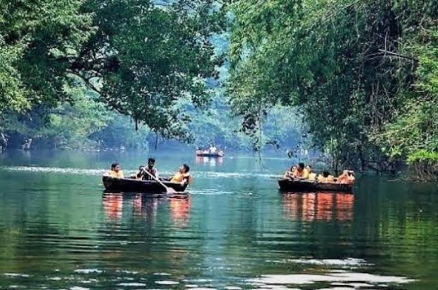 images - 2025-12-31T121038.432