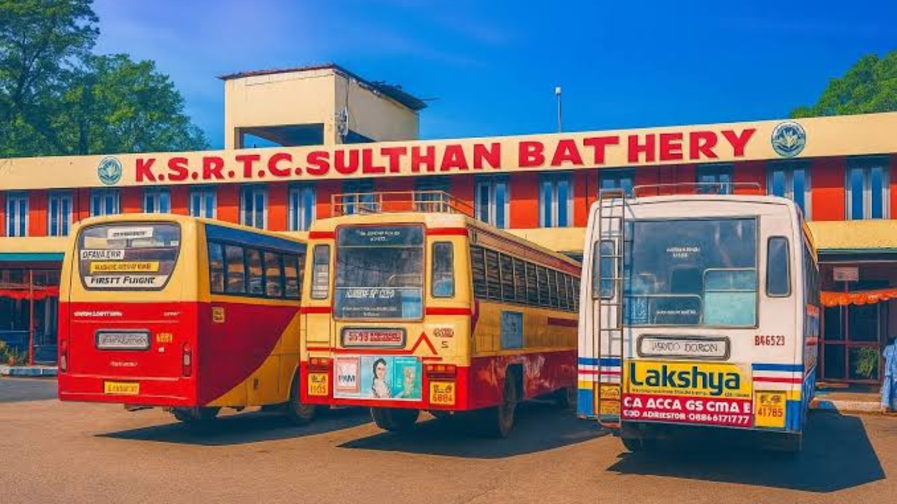 images - 2026-01-01T015934.239