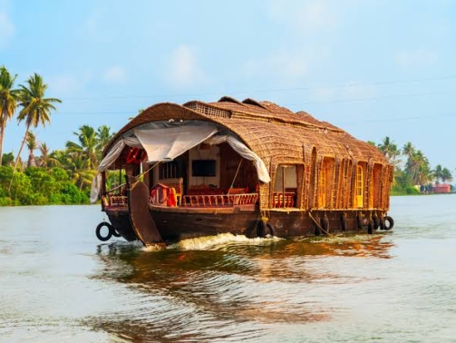 images - 2026-01-01T022738.980